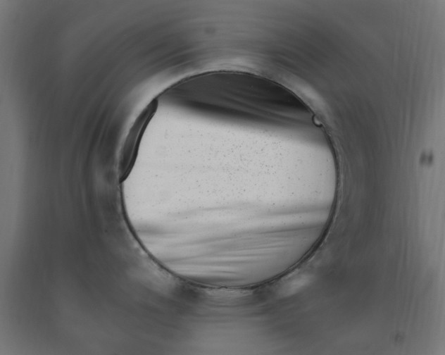 X0000090881200200708241934