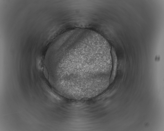 X0000090881202200708241933