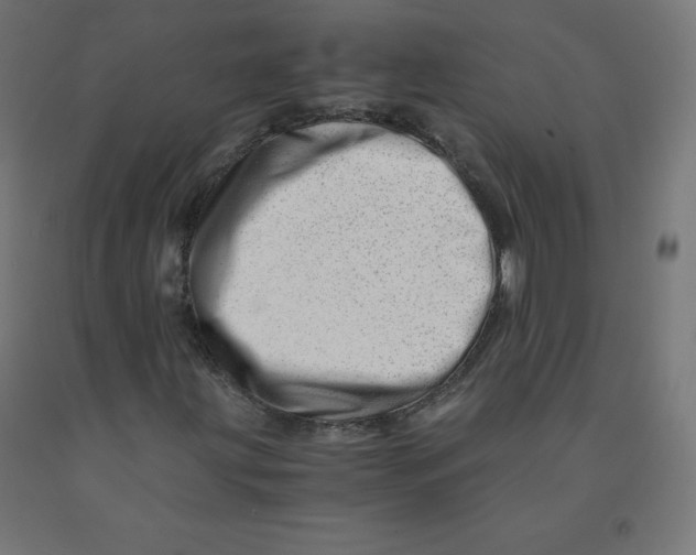 X0000090881203200708241933