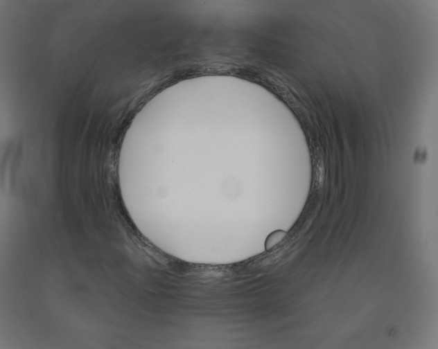 X0000090881204200708241933