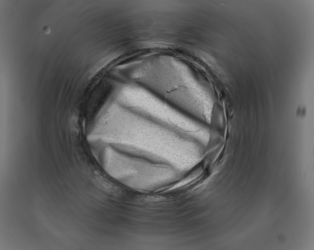 X0000090881209200708241933