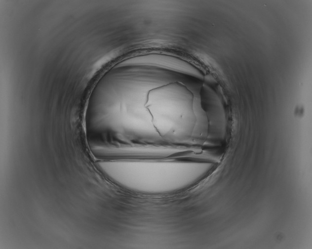 X0000090881210200708241933