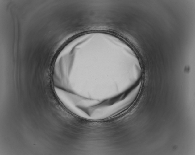 X0000090881212200708241933