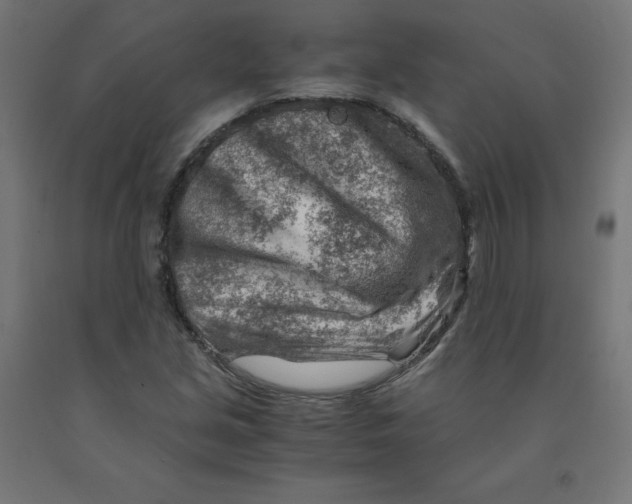 X0000090881213200708241933