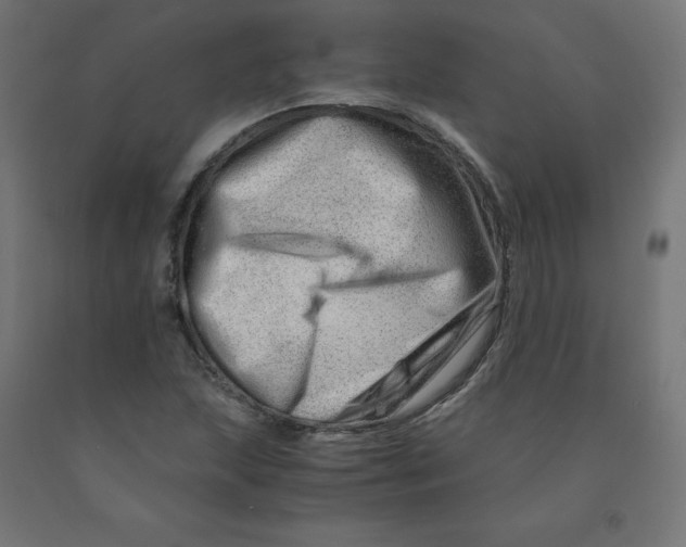 X0000090881215200708241933