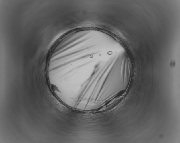 X0000090881216200708241933