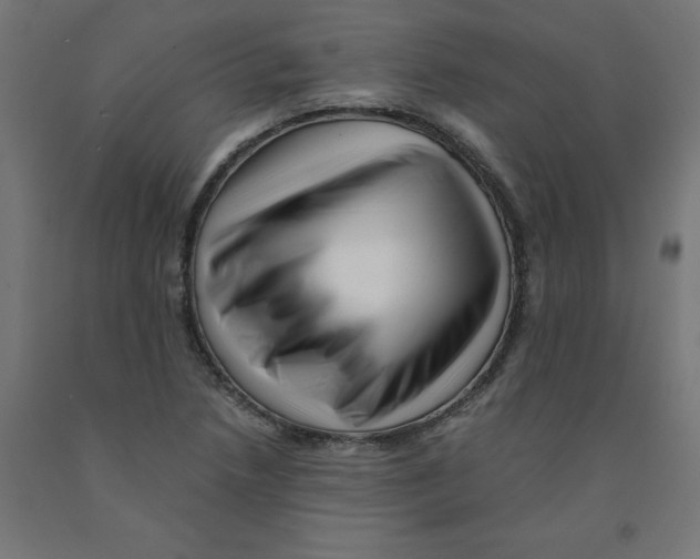 X0000090881218200708241933