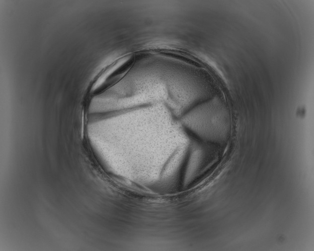 X0000090881219200708241933