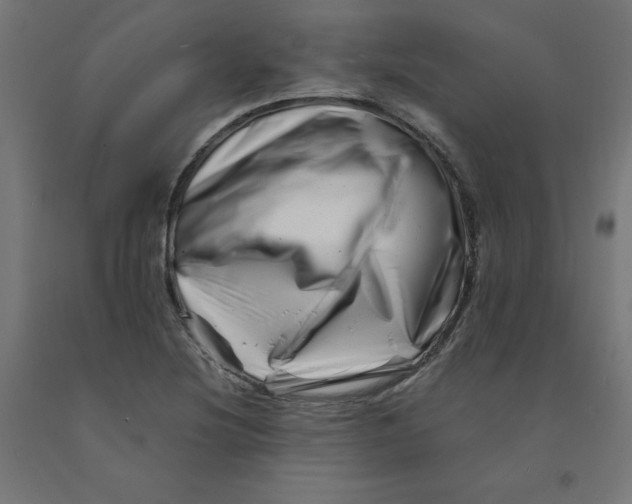 X0000090881220200708241933