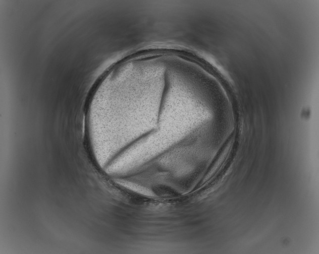 X0000090881221200708241934