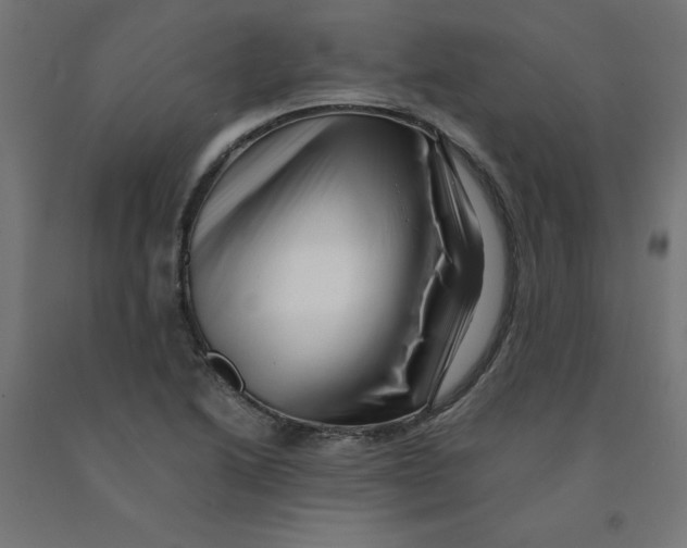 X0000090881222200708241934