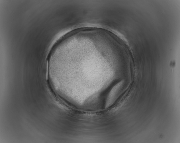 X0000090881223200708241934