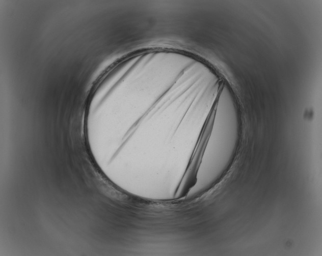 X0000090881224200708241934