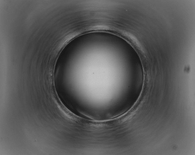 X0000090881225200708241934