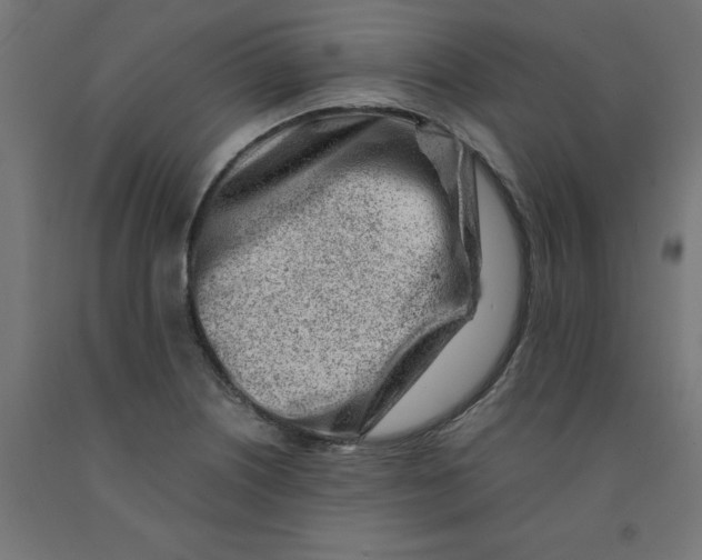 X0000090881226200708241934