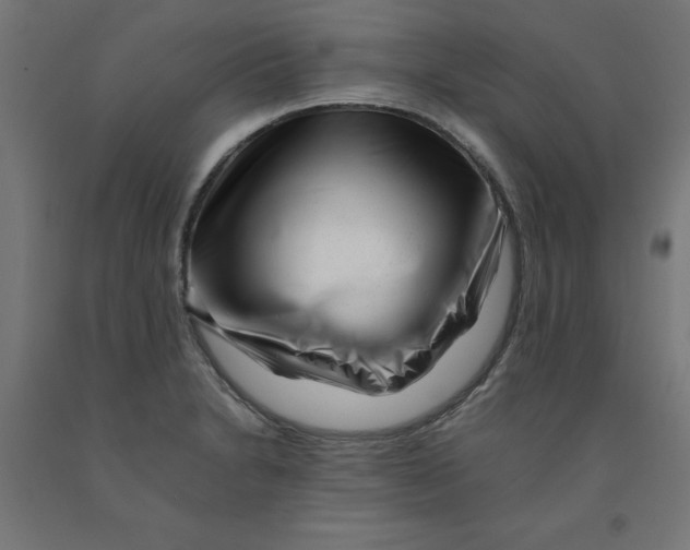 X0000090881230200708241934