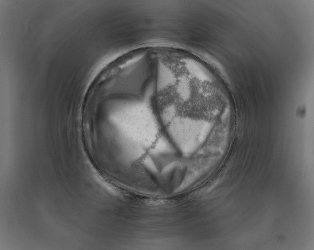 X0000090881231200708241934