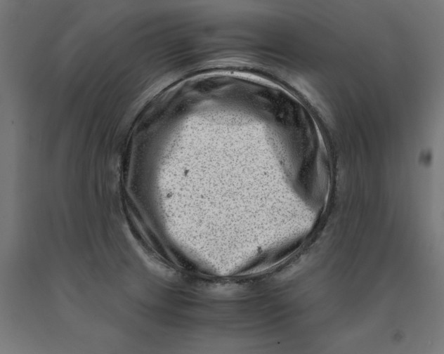 X0000090881233200708241934