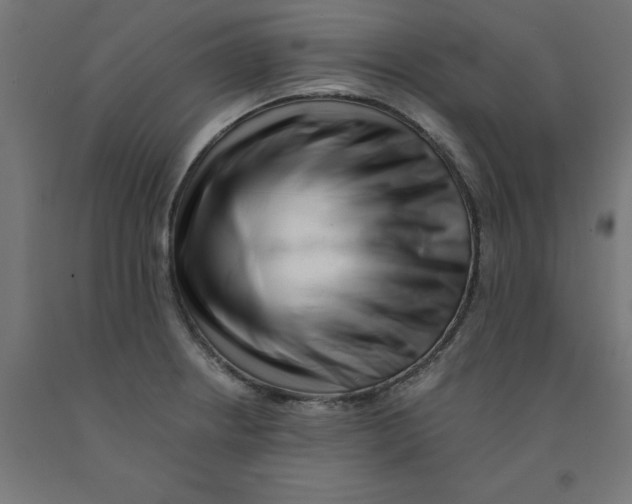 X0000090881234200708241934