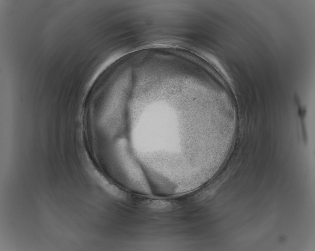 X0000090881235200708241934