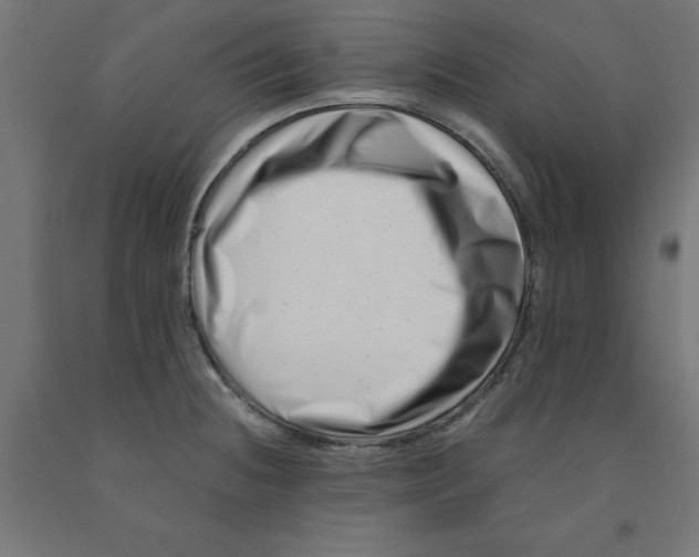 X0000090881236200708241934