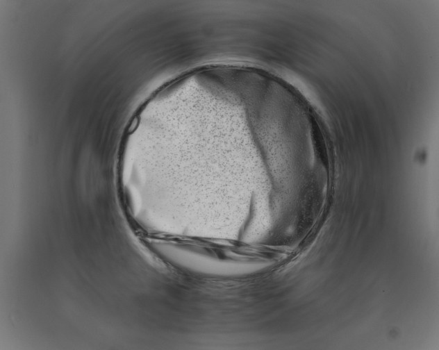 X0000090881237200708241934