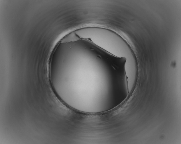 X0000090881238200708241934