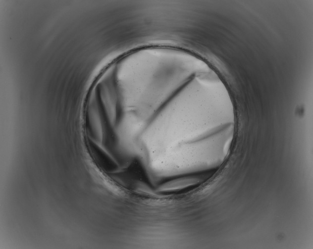 X0000090881240200708241934