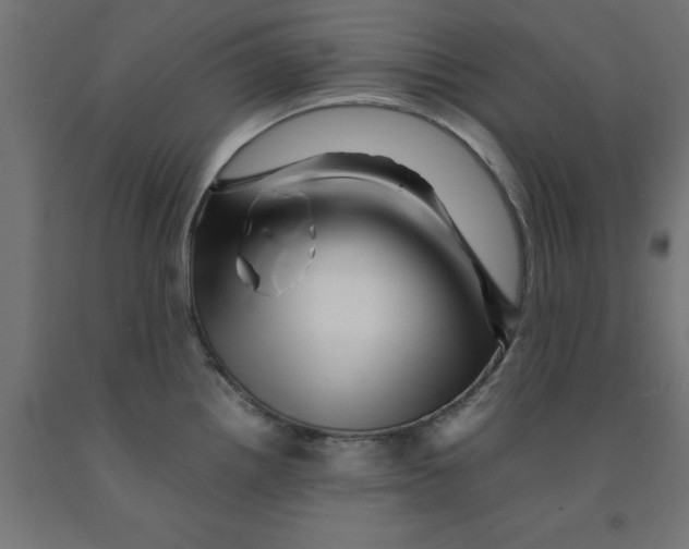 X0000090881242200708241934