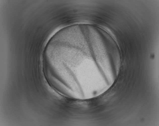 X0000090881243200708241934