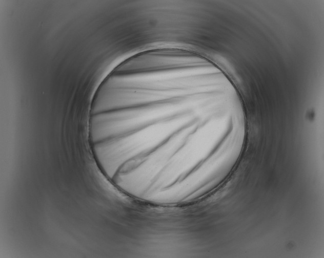 X0000090881244200708241934