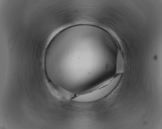 X0000090881246200708241934