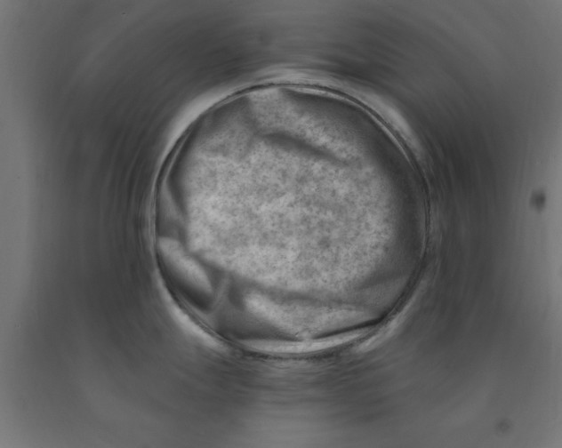 X0000090881247200708241934