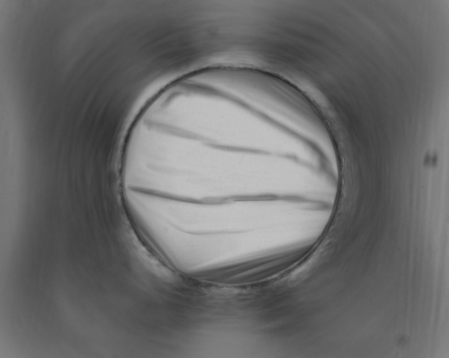 X0000090881248200708241934