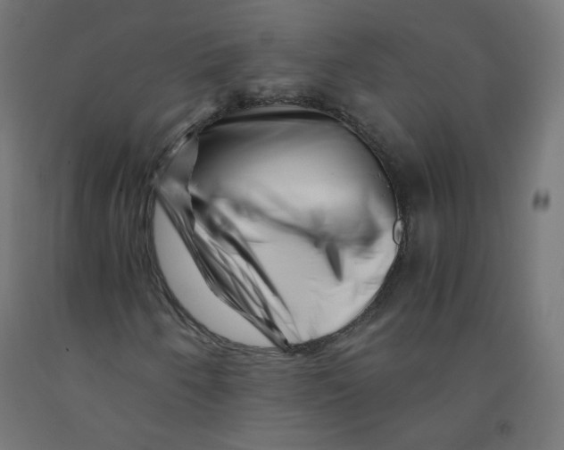 X0000090881250200708241933