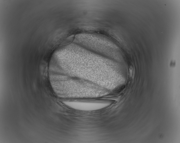 X0000090881251200708241933