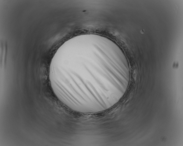 X0000090881253200708241933