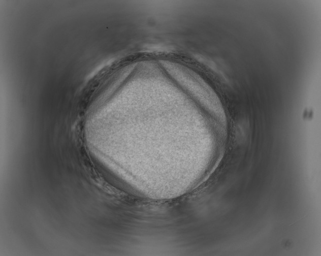 X0000090881254200708241933