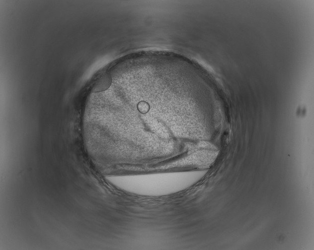 X0000090881255200708241933