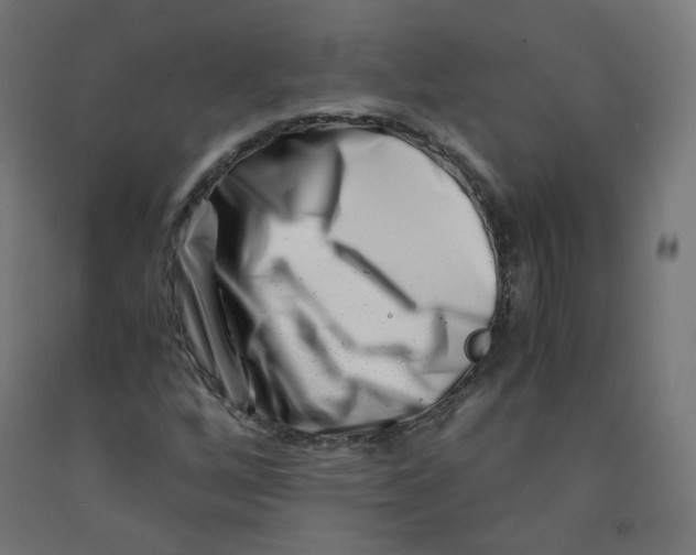 X0000090881256200708241933