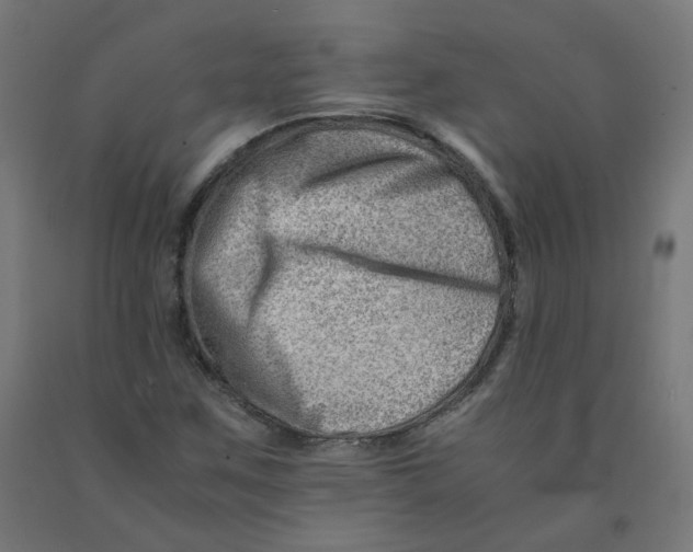 X0000090881259200708241933