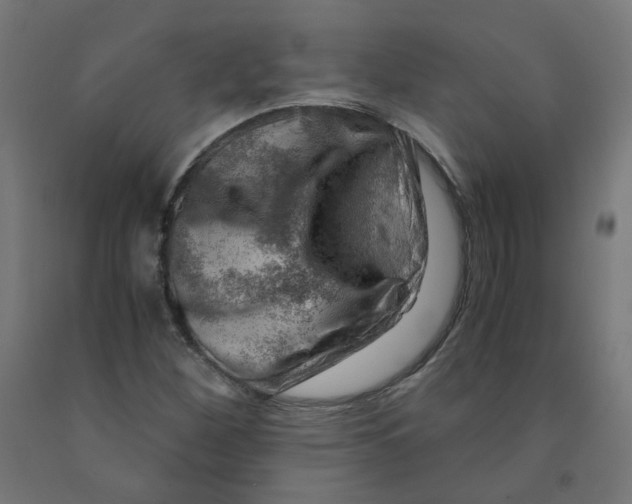 X0000090881260200708241933