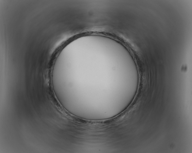 X0000090881262200708241933