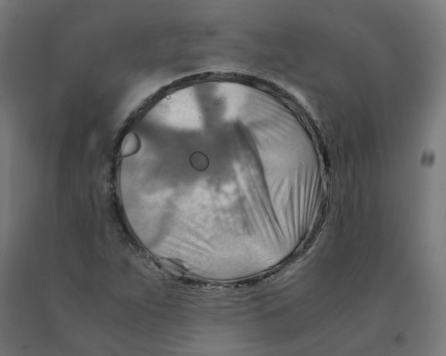 X0000090881263200708241933