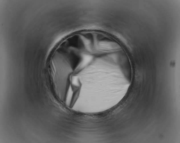 X0000090881270200708241933