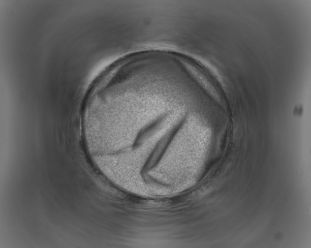 X0000090881271200708241933