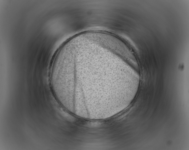 X0000090881278200708241933