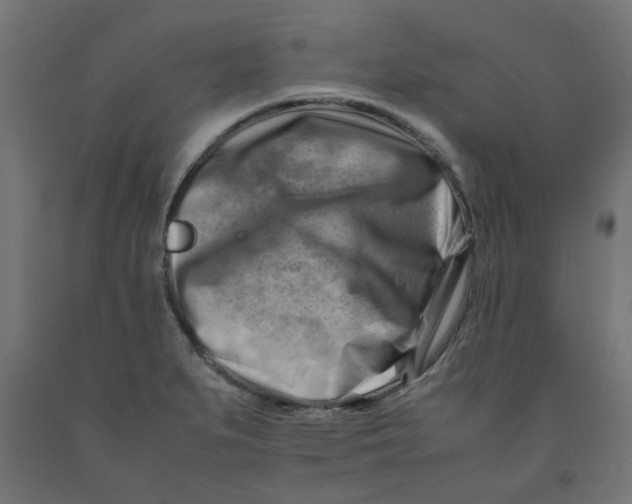 X0000090881279200708241933