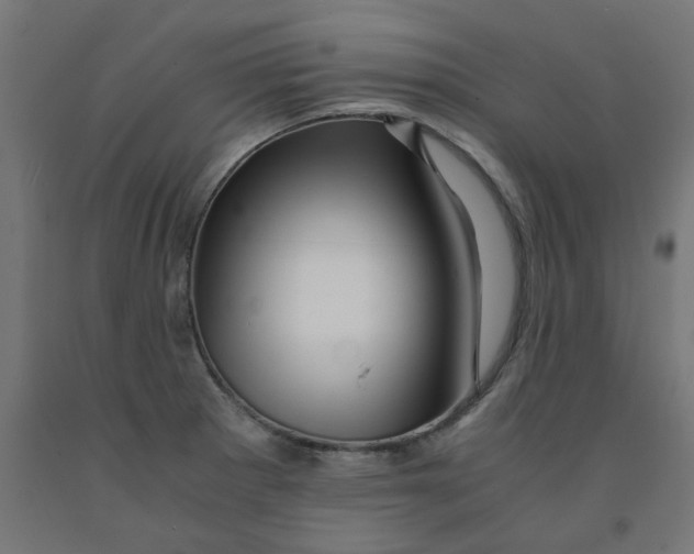 X0000090881281200708241933