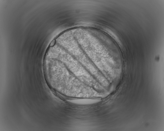 X0000090881283200708241933